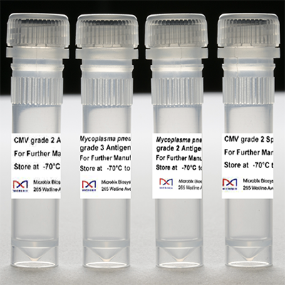 Native Cytomegalovirus (CMV) Antigen